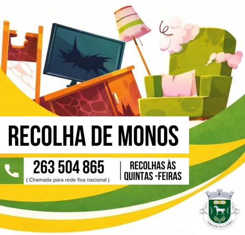 Não abandone na rua! Recolha de Monos Gratuita